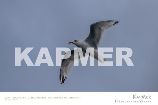 Photo prise le vendredi 26 septembre 2025 à 09:00 par Ugo LATRICHE